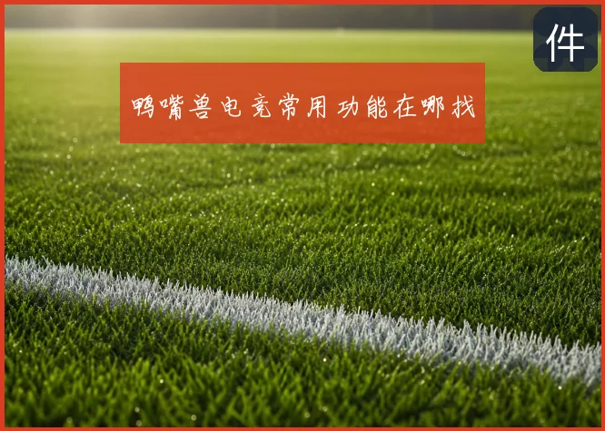 鸭嘴兽电竞常用功能在哪找