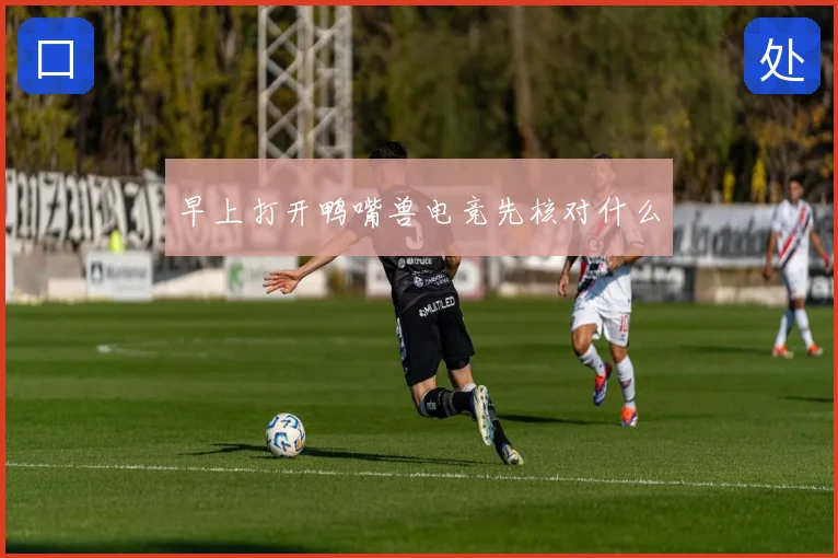 早上打开鸭嘴兽电竞先核对什么
