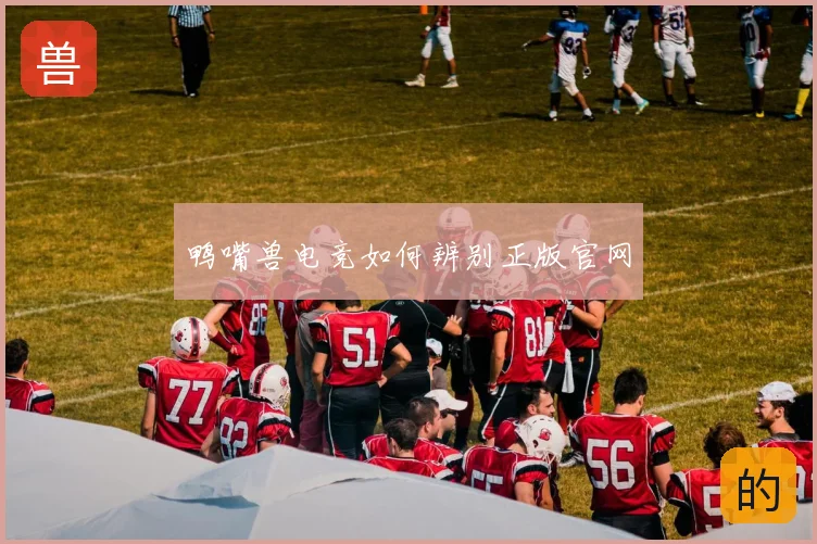 鸭嘴兽电竞如何辨别正版官网